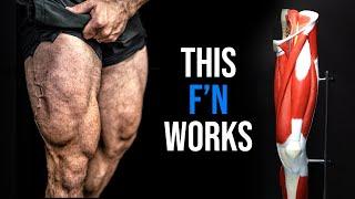 The PERFECT LEG WORKOUT The Science LIES