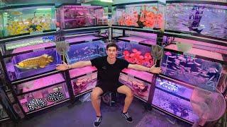 Inside Asias *LARGEST* Aquarium Fish Market ... Bangkok Thailand $$$