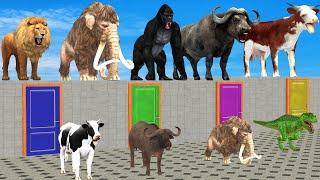 Don’t Choose the Wrong Door And Win With Elephant Mammoth Cow Lion Gorilla Buffalo Wild Animals 2023