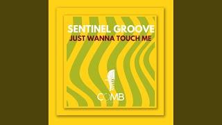 Just Wanna Touch Me Extended Mix