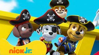 Psi Patrol  PSI Patrol przebiera się za piratów rycerzy i nie tylko  Nick Jr. Polska