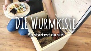 So startest du DIE Wurmkiste