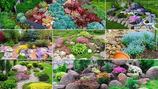 Creating an Alpine Rock Garden in Your Backyard A Tranquil Retreat for the Soul