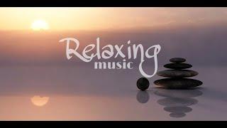 Relaxation Relaxing Sleep Music Meditation Music Soothing Relaxation Chill Music Deep Sleep