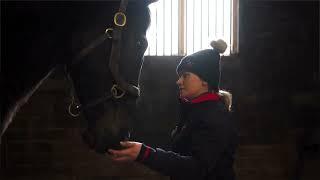 Life After the Track - Retraining ex-racehorses with Jamie Buckley