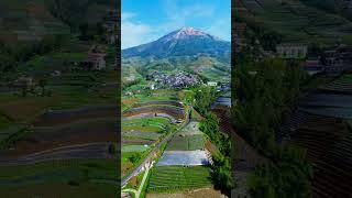 Pemandangan Alam Gunung Sumbing Desa Sukomakmur #pemandangan #suasanapedesaan #alam