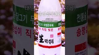 막걸리 바로 그 맛 #송명섭 막걸리 전통주갤러리 2024년 5월 시음주