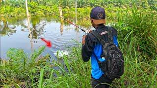 HATI-HATI SAAT BANJIR BANYAK PREDATOR DITEMPAT TAK TERDUGA 