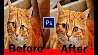 Cara meningkatkan resolusi Gambar dengan Photoshop