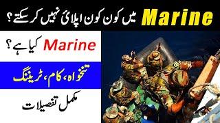 Pak Navy Marine Branch  Pak Navy Marine Salary Training Selection Procedure Requirement Work