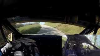 6° Driver Rally Show 2014 - Renault Twingo Evo R2B - Cugini I. Della Torre M.