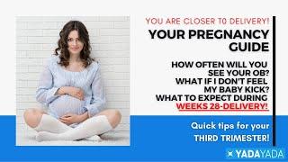 THIRD TRIMESTER- How much Should your BABY be Kicking?  What are Normal Belly Pains?