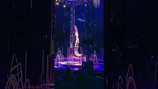 Acro Circus Partner Balancing Acts #circus #цирк #acro