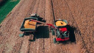 South Dakota Corn Harvest Drone Video  DJI Mavic Pro 2