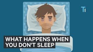 What Happens To Your Body And Brain If You Dont Get Sleep  The Human Body