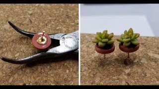 Succulent Earrings