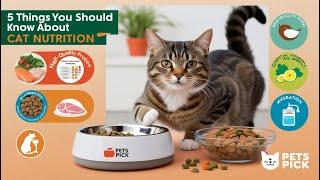  5 Things You Should Know About Cat Nutrition 