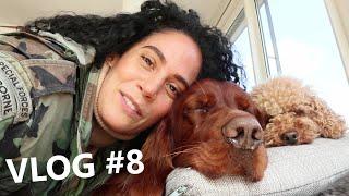 VLOG #8 Leben mit Hund  Frühstück  Dr Clauders Unpacking