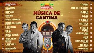 Lo Mejor De La Música Popular Música De Cantina