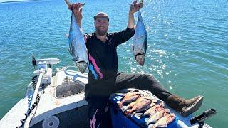 The Moreton Bay Flats are GOING OFF Snapper and Pelagics in shallow water.