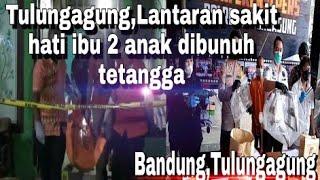 TulungagungIbu 2 anak tewas dibunuh Tetangga