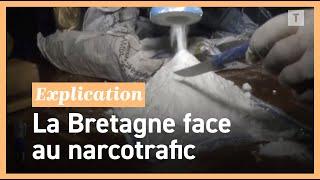 Pourquoi la Bretagne est devenue une cible du trafic de cocaïne mondiale Marée Blanche 14