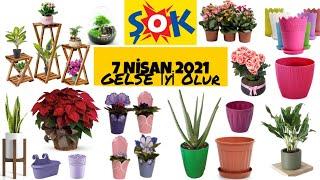 Şok 7 Nisan 2021 Aktüel Ürünleri Bahçe &Yaz Ürünleri Çiçek & Çiçek Ürünleri Şok Bahçe Ürünler#Şok