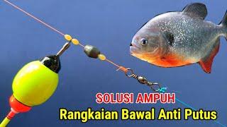 SOLUSI AMPUH Rangkaian pancing ikan Bawal Anti putus