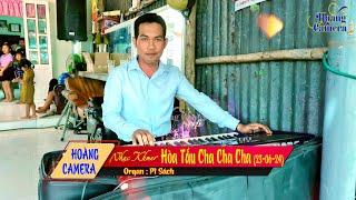 Hòa Tấu Cha Cha Cha - Pi Sách {23-06-2024}