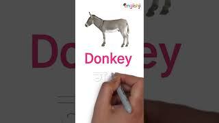 10 domestic animals name  list of domestic animals  10 pet animals name  Animals name #shorts