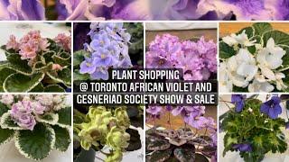 Toronto African Violet & Gesneriad Society Spring Show & Sale plant shopping and haul