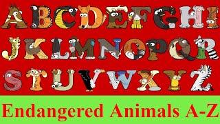 Endangered Animals for Kids  A-Z Animal Flashcards  Animal Alphabet  Learn ABC with Alphabetimals
