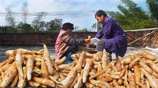Guangxi grandma’s cassava農村幾毛錢一斤的木薯，有人說它毒性極強，有人說它味道極香｜Chinese Food 广西 美食｜ 玉林阿婆