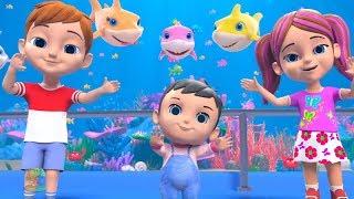 Hiu Bayi Lagu  Lagu anak Indonesia  Kumpulan lagu anak anak  Baby Shark Lagu 