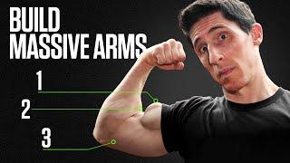 The Surest Way to Get Big Arms Fast Biceps and Triceps