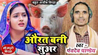 #video  औरत बनी सुअर  बहुत अजीब बिरहा  #पंचदेव_पाण्डेय का नया बिरहा #bhojpuri_birha