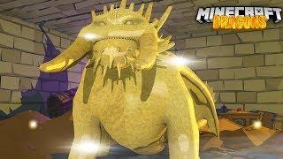 THE SEARCH FOR LEGENDARY GOLDEN BEWILDERBEAST - Minecraft Dragons