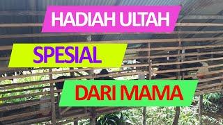 Cerpen  Hadiah Ulang Tahun