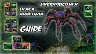 Broodmother Black Arachnia Guide  Снести хг за 10 минут? Легко.