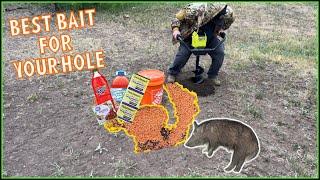 Hog Bait Recipe One Ingredient Will Leave Them Wanting More