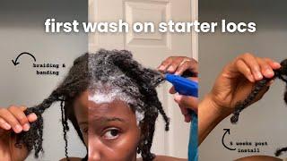 how to wash starter locs  microlocs  how to braid and band locs