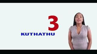 LEARN TO COUNT IN ZULU -  1 - 5 