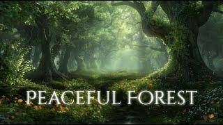 Peaceful Forest Ambience and Music  peaceful fantasy music and sounds of a forest in spring