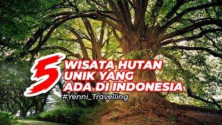 TERNYATA DI INDONESIA MEMILIKI HUTAN UNIK SALAH SATUNYA MIRIP FILM LUAR NEGERI