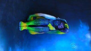 Artists body painting creates incredible illusion