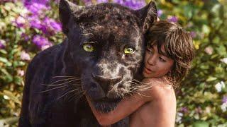 طفل يتربى مع الحيوانات في الغابة ويرفض العيش مع البشر  the jungle book #film  #فلم