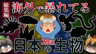 【総集編】逆特定外来生物！？海外で暴れてる日本の生き物29選