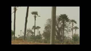 A la découverte de la nature africaine