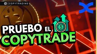 ¿Es RENTABLE o NO el COPYTRADING?