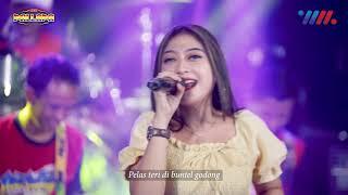 SHINTA ARSINTA ft NEW PALLAPA  PELAS TERI  LIVE CONCERT WAHANA MUSIK